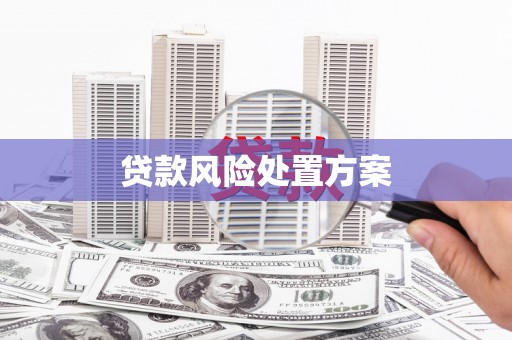 刚察贷款风险处置方案