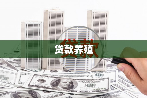隆子贷款养殖