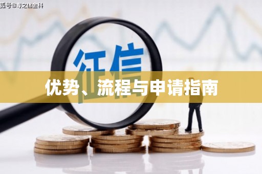 瑞芳优势、流程与申请指南