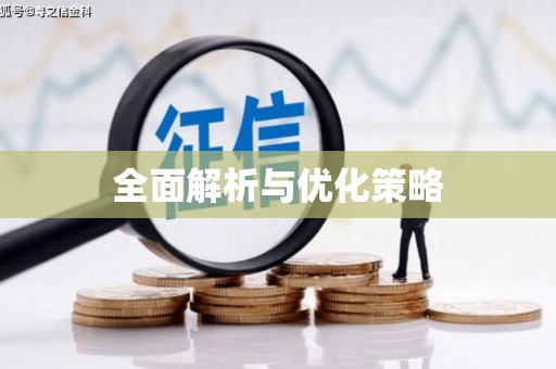 莱城全面解析与优化策略