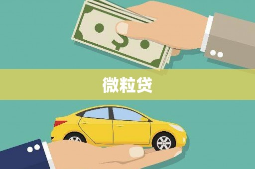 玛沁微粒贷