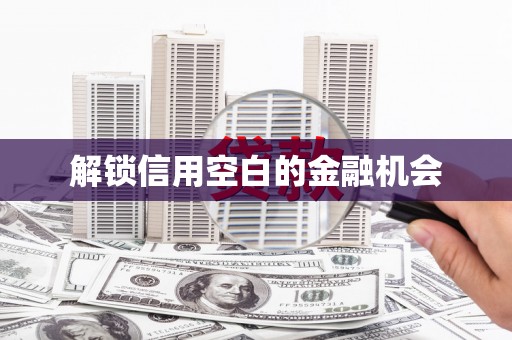 白碱滩解锁信用空白的金融机会