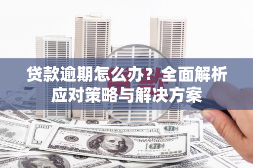 泸西贷款逾期怎么办？全面解析应对策略与解决方案