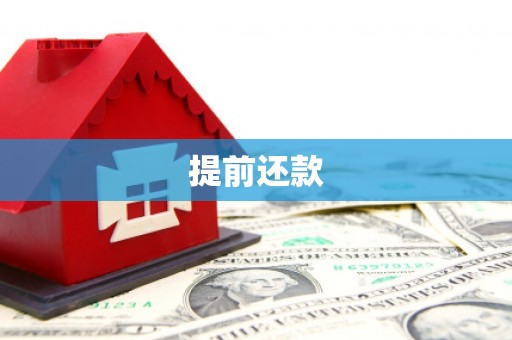 板芙提前还款