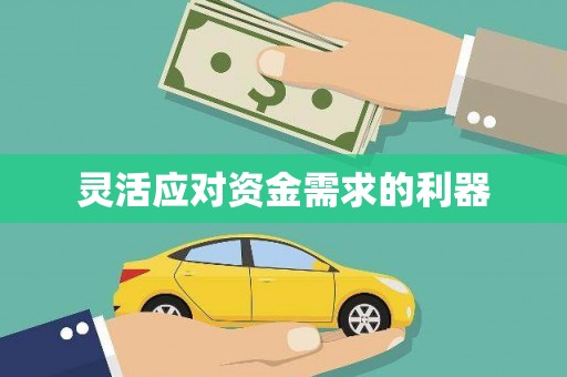 金湖灵活应对资金需求的利器