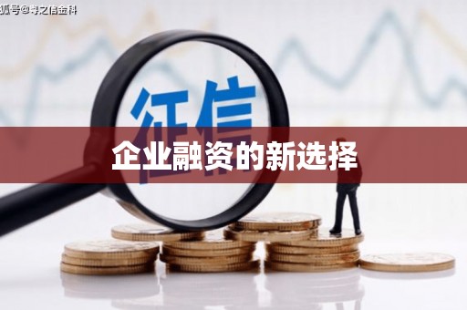 旬阳企业融资的新选择