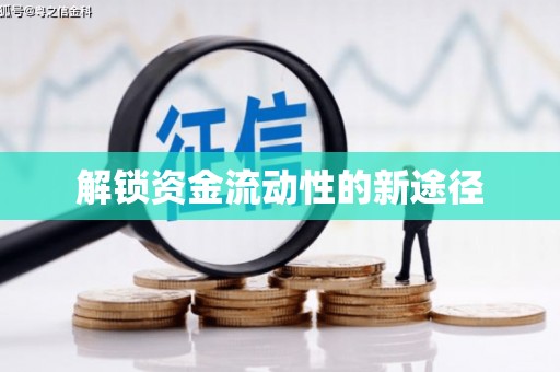 埔心解锁资金流动性的新途径