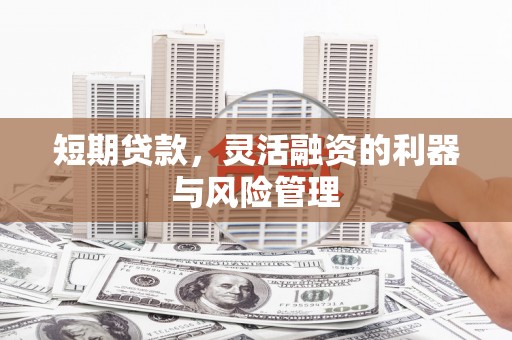 务川短期贷款，灵活融资的利器与风险管理