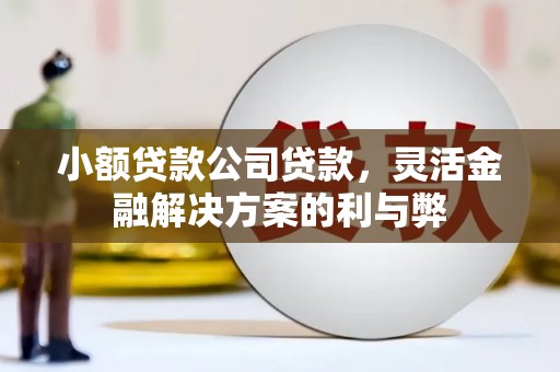 开平小额贷款公司贷款，灵活金融解决方案的利与弊