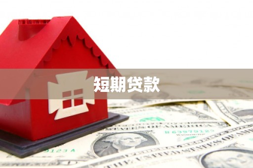 东阿短期贷款