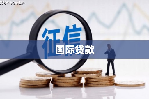 土默特左旗国际贷款